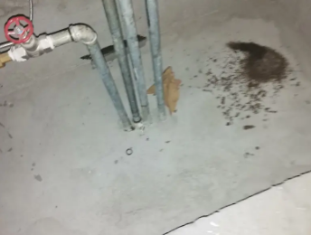 洛宁卫生间测漏水价格明细