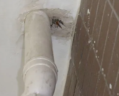 洛宁漏水检测哪家好